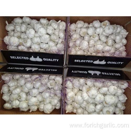 Fresh Pure White Garlic Crop 2019